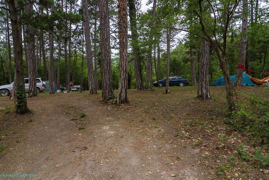 Glade pod stanom
