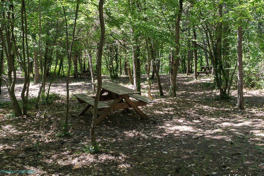 Glade pod stanom (krátke vzdialenosti medzi stromami)