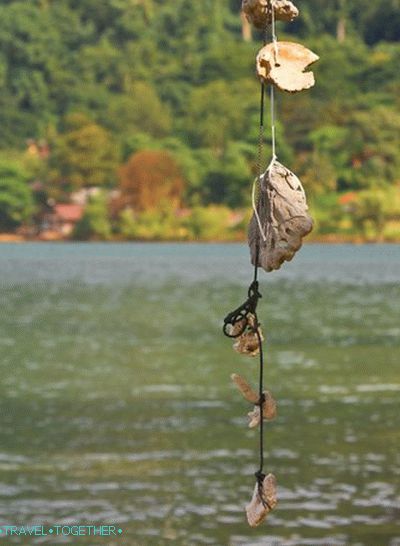Fotografie ostrova Koh Chang (42)