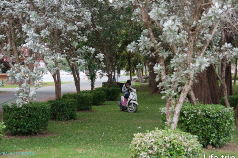 Mesto Tara Park Krabi