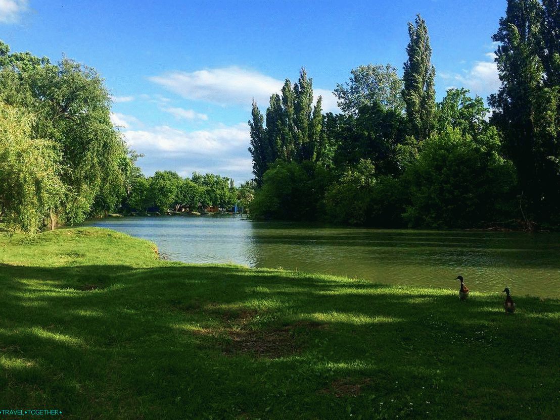 Park Sunny Island. Fotografia - @tanya_kaliturina