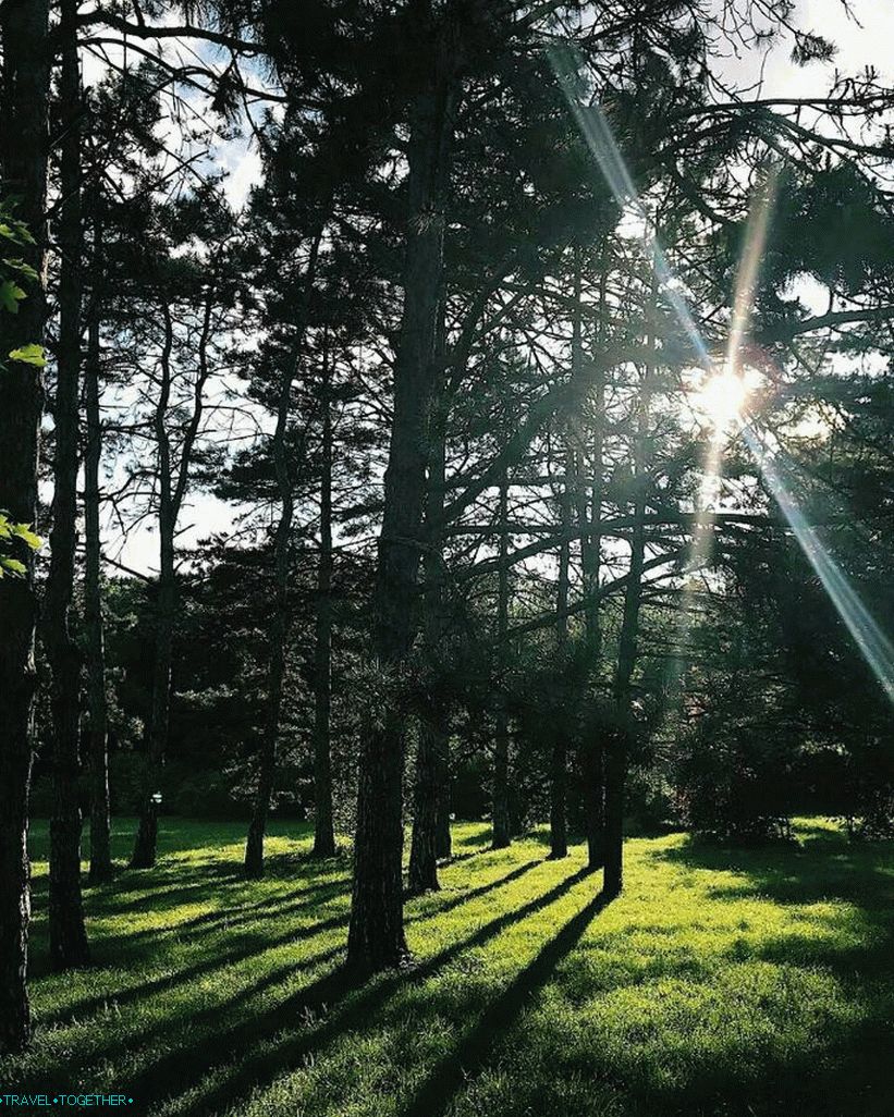 Arborétum v Krasnodare. Fotografia - @kristinamarinkina