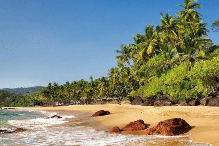 „Goa,