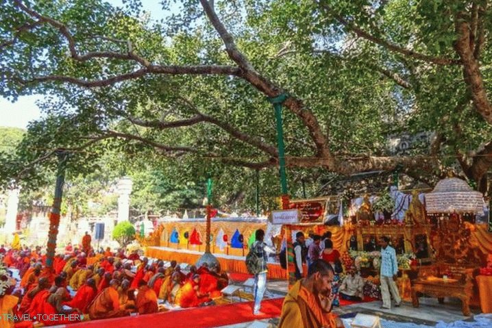 Srí Lanka, Mahabodhi Tree so Svätým mestom Anuradhapura