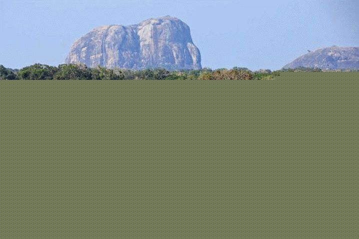 Srí Lanka, ponorte sa do prírody v národnom parku Cumana