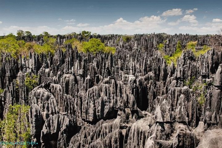„Madagaskar,