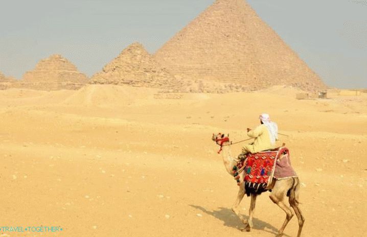 Egypt, jazdi na ťave