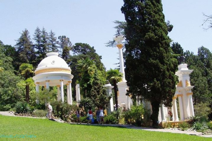 Soči, Arborétum