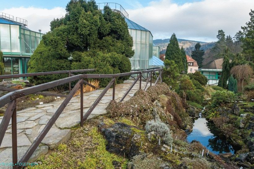Botanická záhrada Liberec - celoročná krása