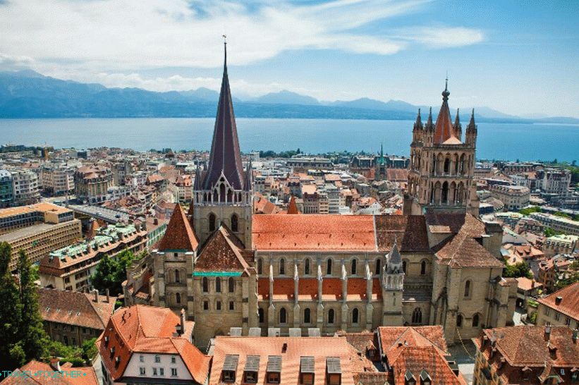 Katedrála Notre Dame