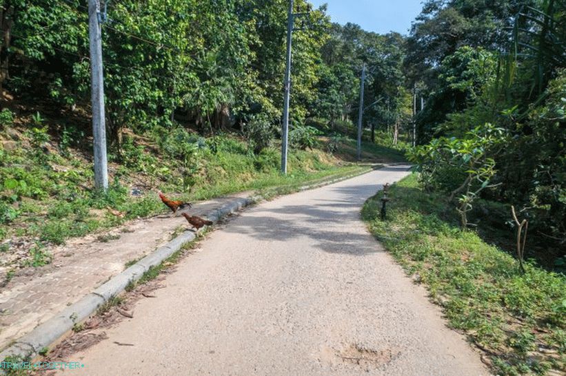 Najlepšie zobrazovacie platformy na ostrove Phi Phi - hľadiská 1, 2 a 3