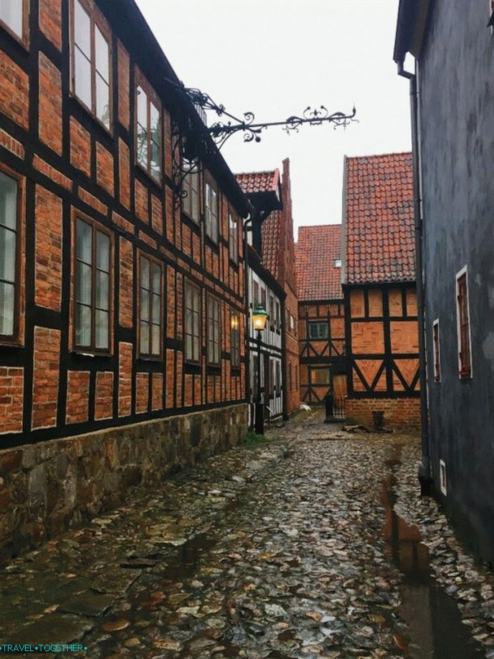 Kultúra