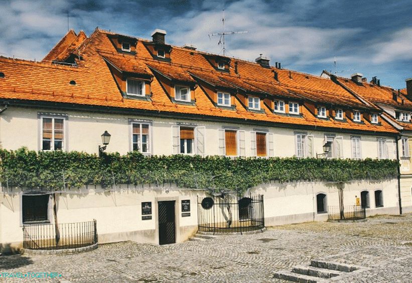 Stará vinica a dom pri starej vinici