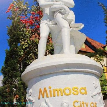 Mimosa - mesto lásky v Pattaya