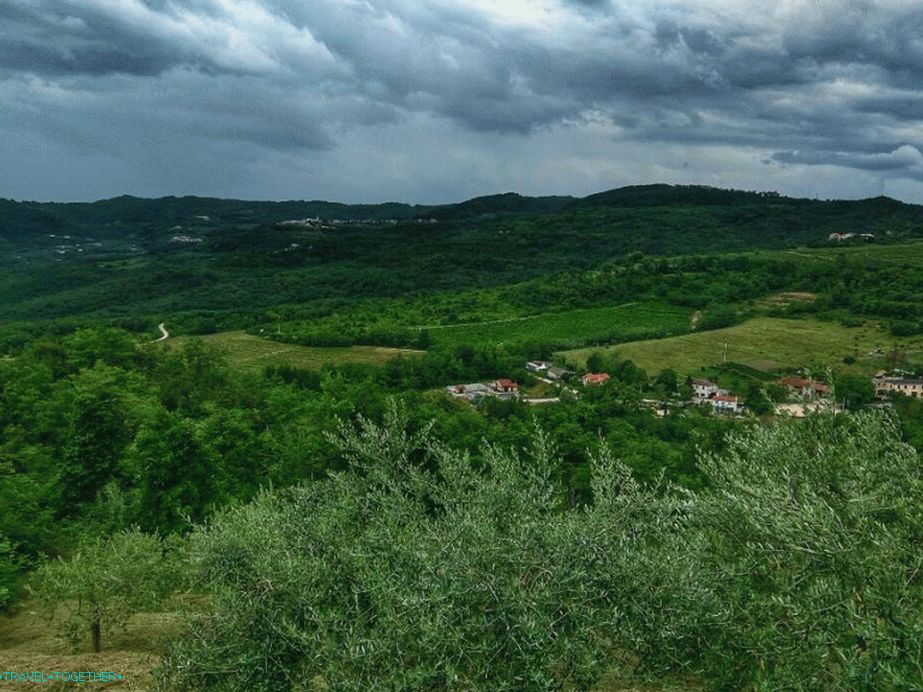 „Pohľad