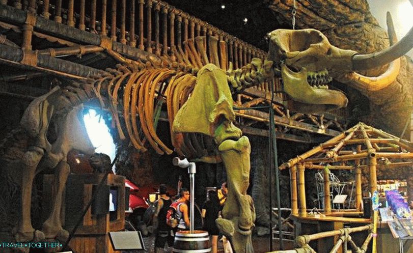 Ripley Museum v Pattaya - kostra mamuta