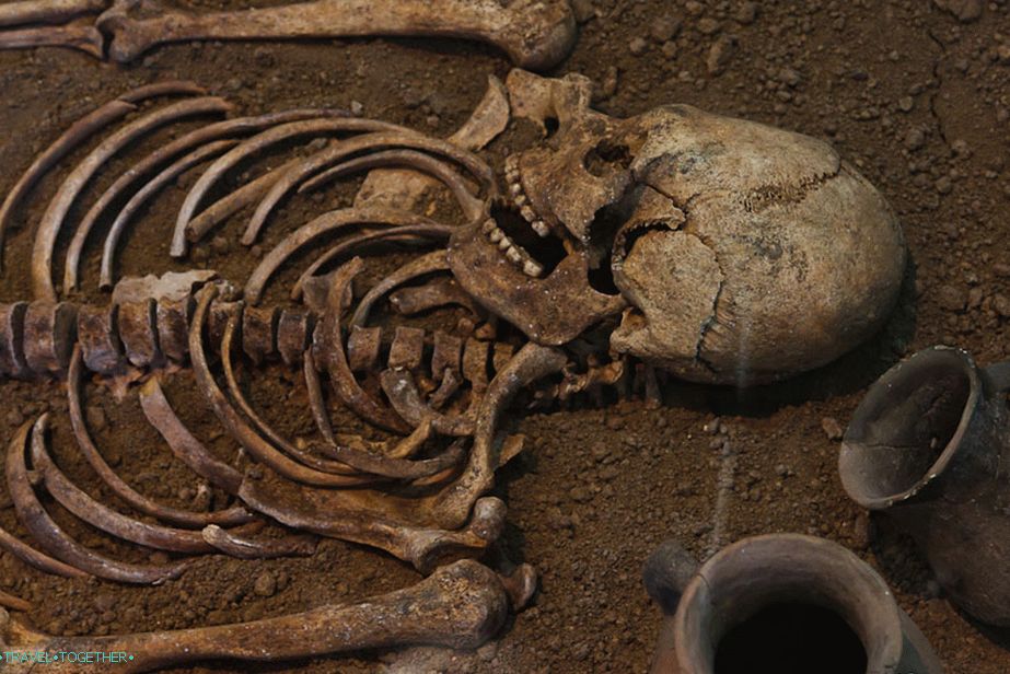 Skeleton Tananta
