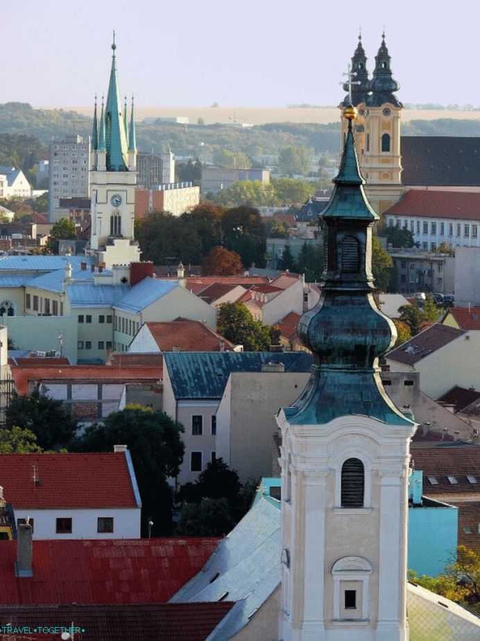 Panoráma