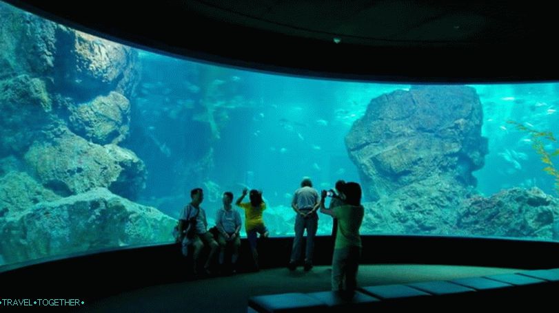 „Oceánium