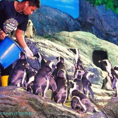 „Oceánium