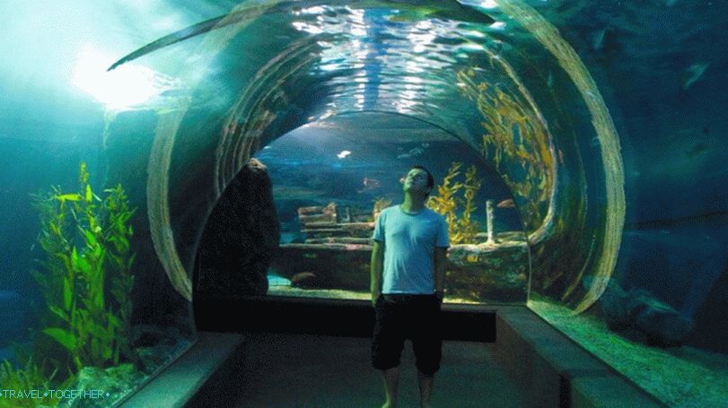 „Oceánium