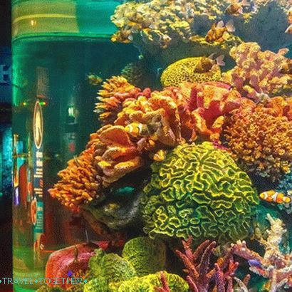 „Oceánium