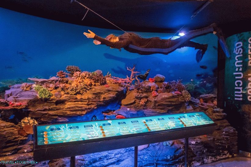 Phuket Oceanarium - čo je skôr nudné akvárium