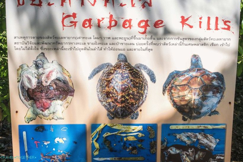 Phuket Oceanarium - čo je skôr nudné akvárium