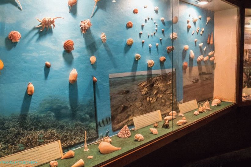 Phuket Oceanarium - čo je skôr nudné akvárium