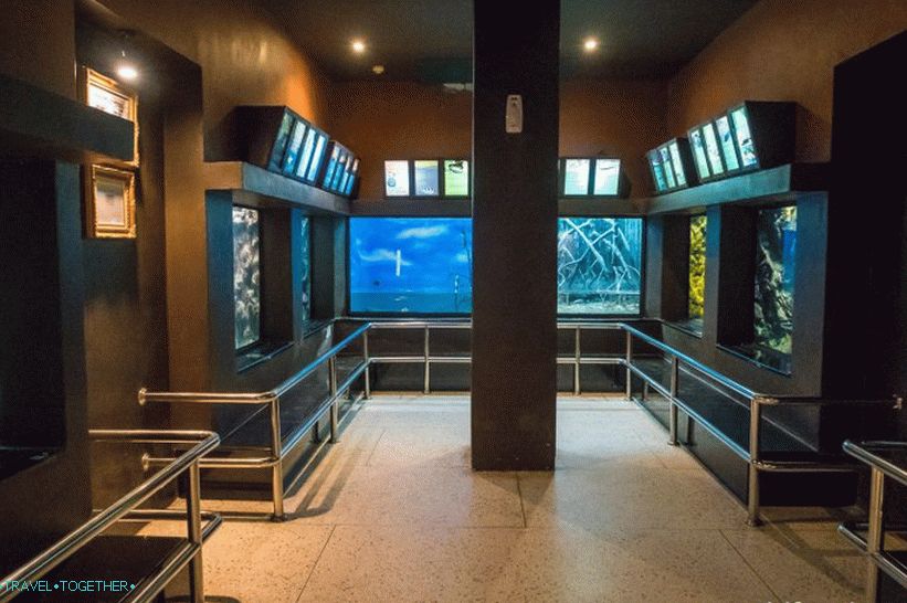 Phuket Oceanarium - čo je skôr nudné akvárium