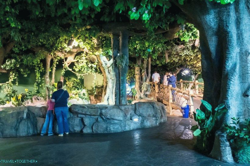 Oceanarium in Adler - prekvapivo potešenie a šok