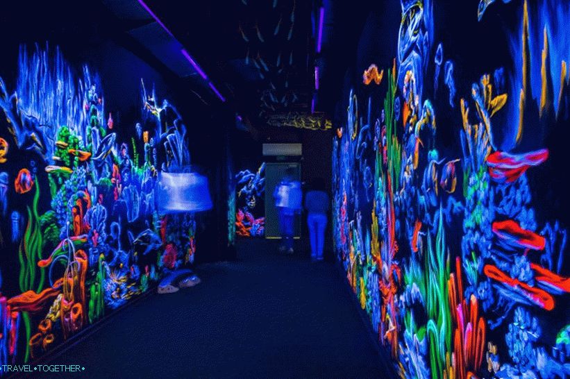 Oceanarium in Adler - prekvapivo potešenie a šok