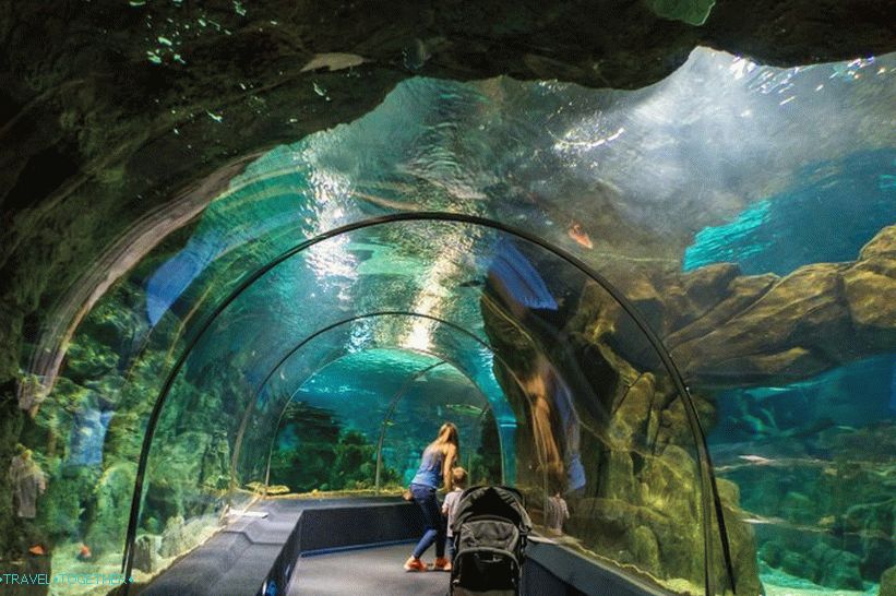 Oceanarium in Adler - prekvapivo potešenie a šok