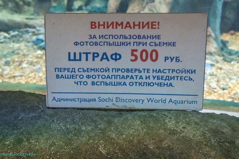 Oceanarium in Adler - prekvapivo potešenie a šok