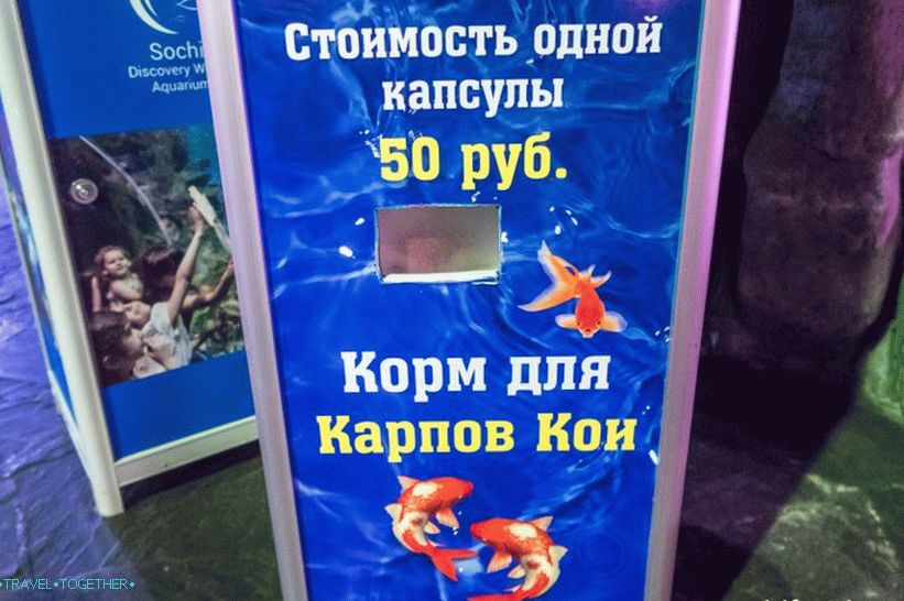 Oceanarium in Adler - prekvapivo potešenie a šok
