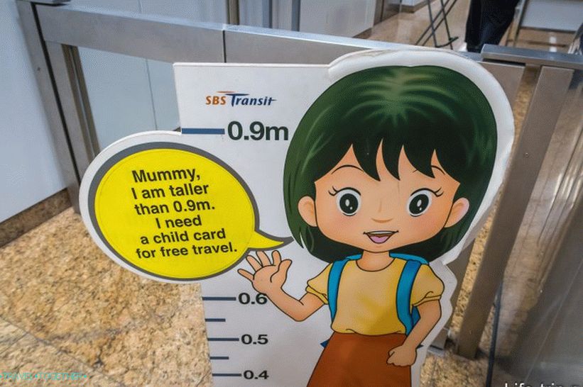 „Toto