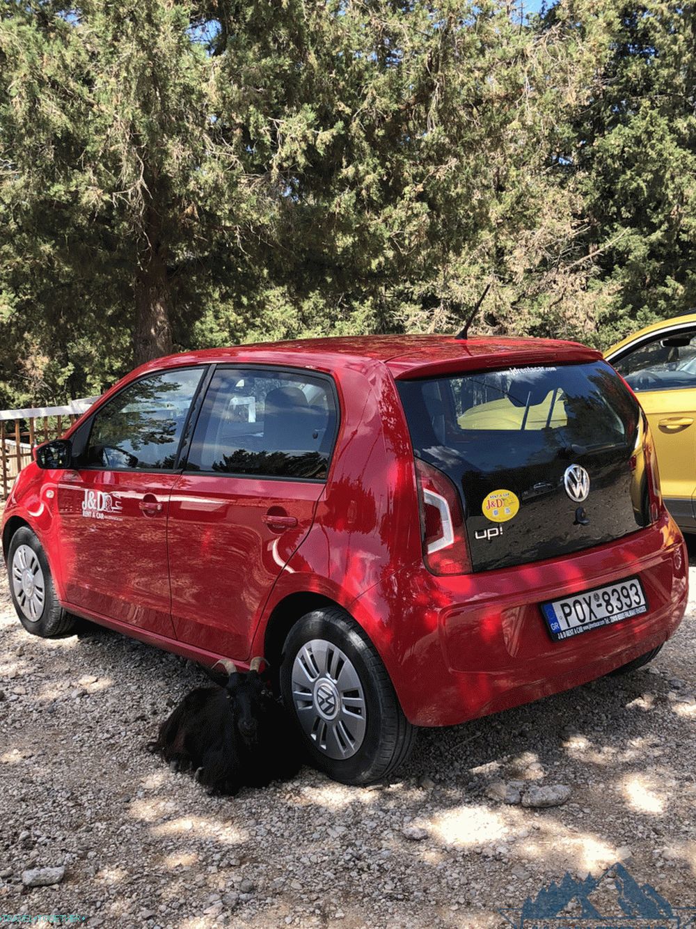 „Autopožičovňa“