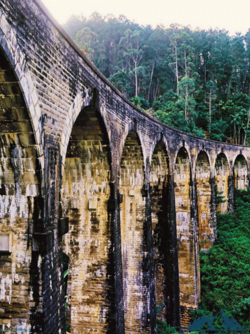 Most Ninearch Srí Lanka