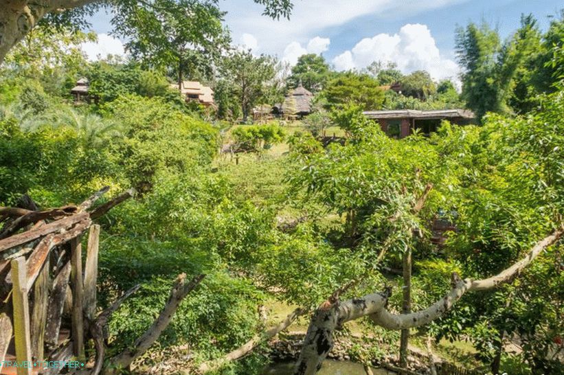 Pai Treehouse Treehouse - ubytovanie a atrakcie