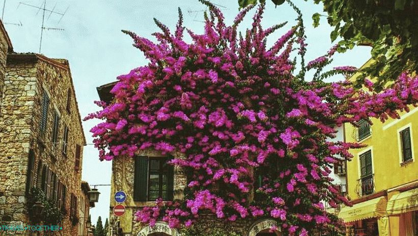 Kvitnúce ulice Sirmione