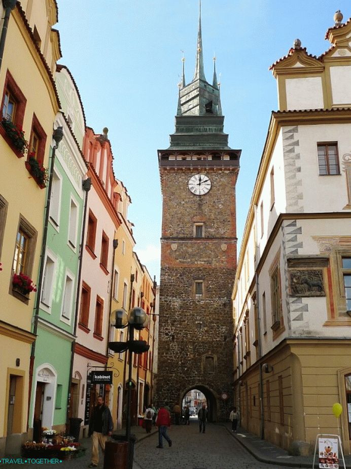 Zelená