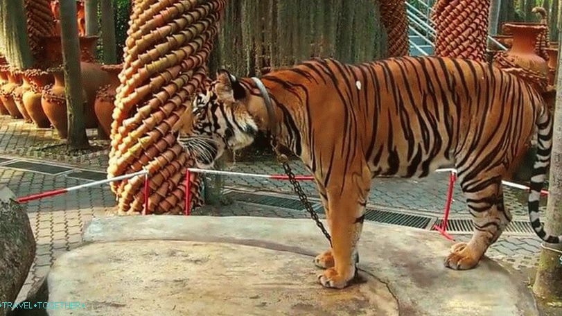 „Zoo