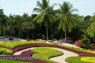 Park Nong Nooch v Pattaya