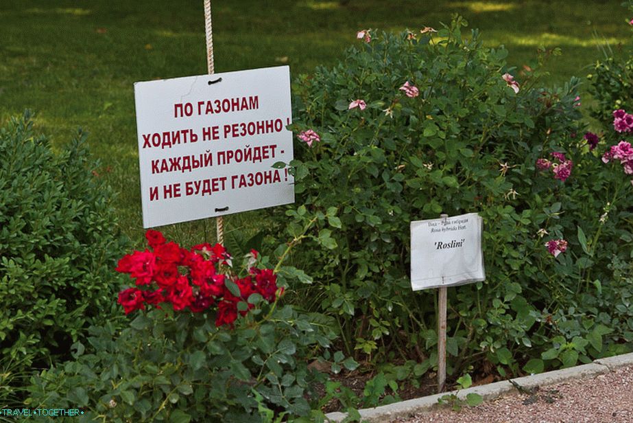 Legrační nápis na trávniku