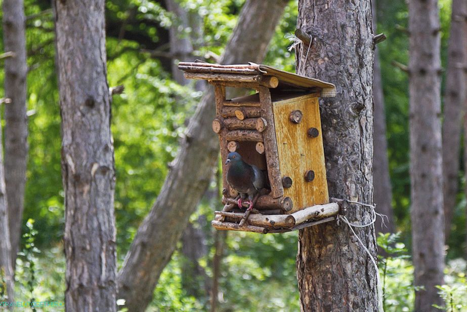„Birdhouses