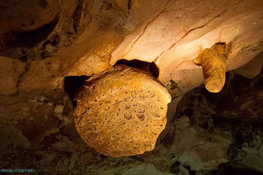 Stalactite Wasp Nest - najstaršie v jaskyni