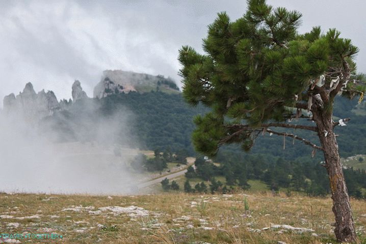 Ay-Petrinskaya Yayla. V oblakoch.