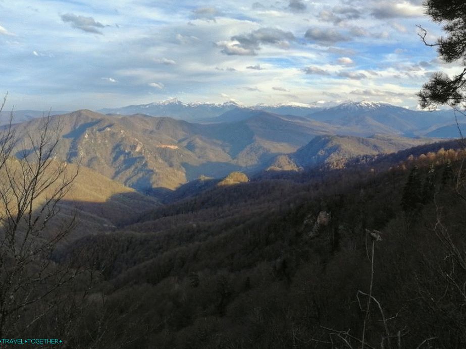 „Panorama