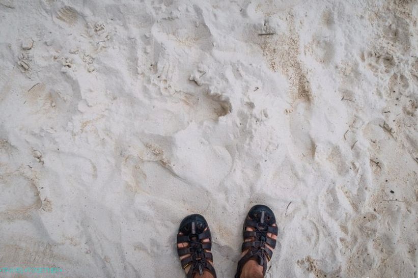Beach, Haad, šalát, (Haad, šalát), -, hľadanie, ticho, prostredníctvom, ten, phangan, pláž