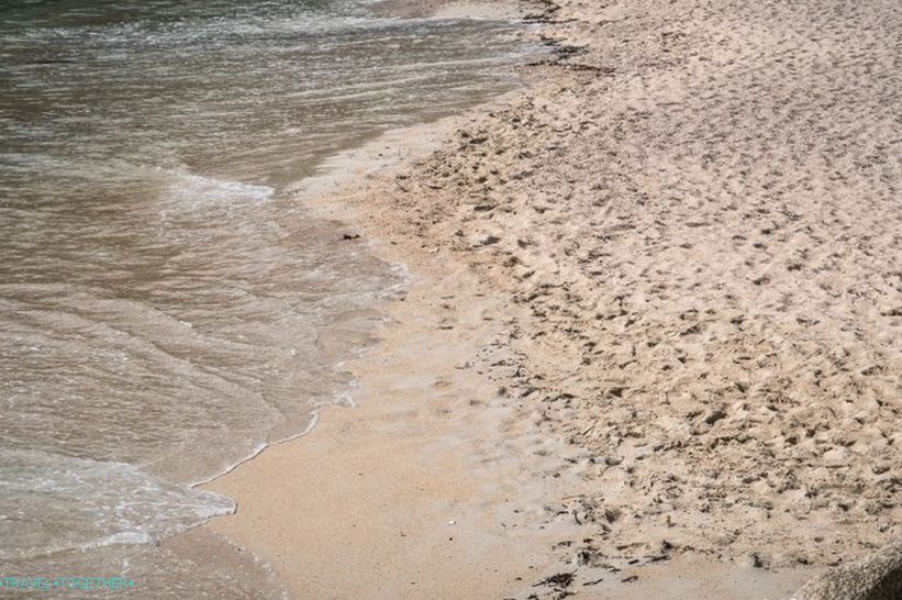Vlhký piesok - sivasto žltý, vlny umyté úlomky škrupín